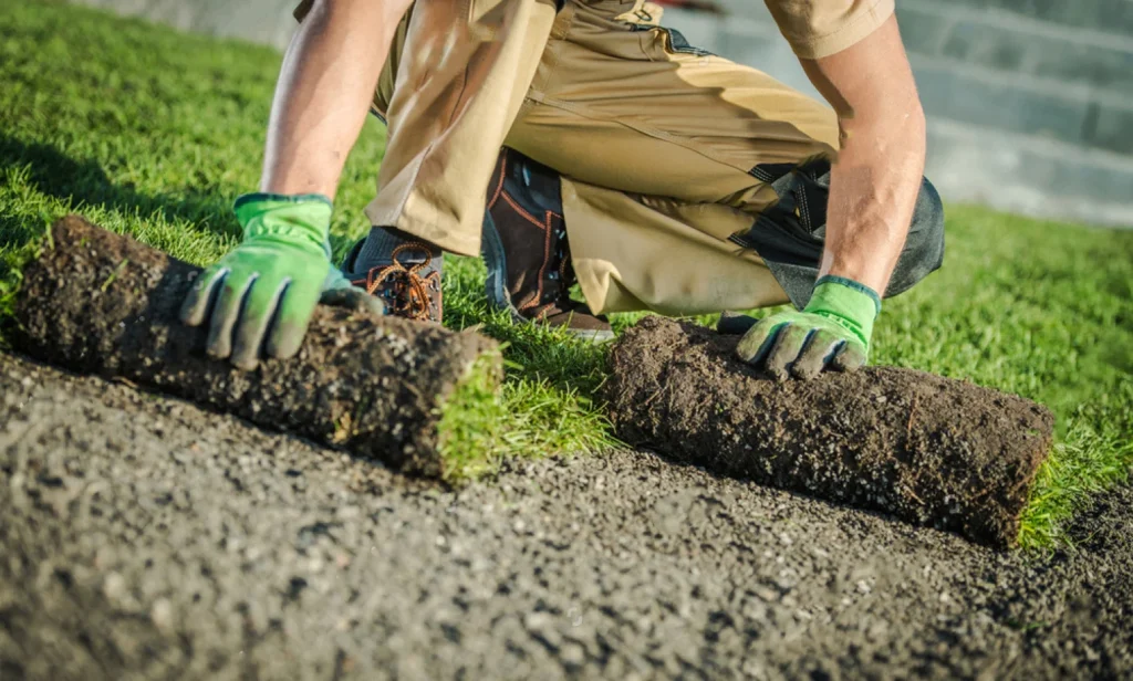 Landscaper laying sod on the ground to create a lawn, wearing gloves and kneeling on the soil.