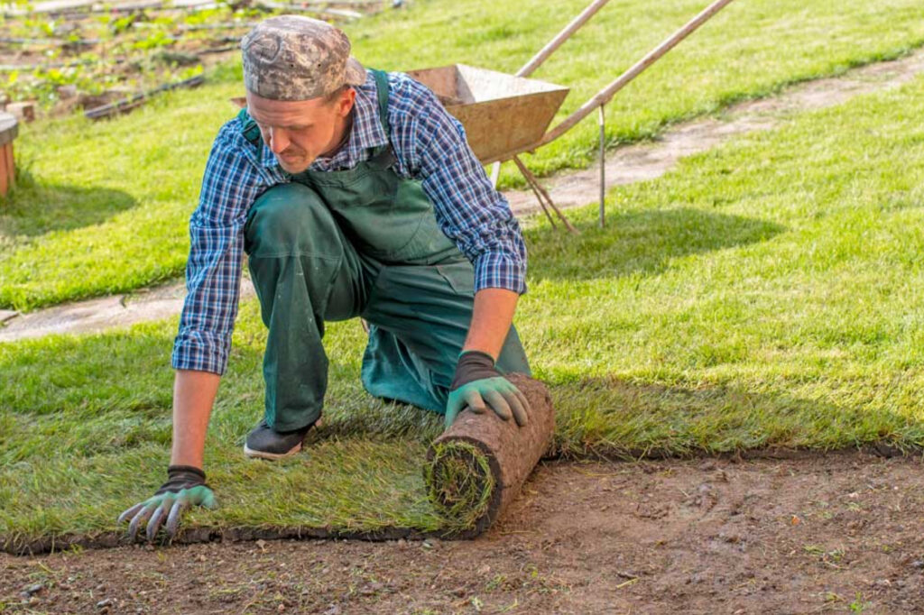 We provide specialised landscaping estimation services in: California, Texas, Florida, New York, Pennsylvania, Illinois, Ohio, Georgia, North Carolina, Michigan, New Jersey, Virginia, Washington, Arizona, Tennessee, Massachusetts, Indiana, Maryland, Missouri, Wisconsin, Colorado, Minnesota, South Carolina, Alabama, Louisiana, Kentucky, Oregon, Oklahoma, Connecticut, Utah, Nevada, Iowa, Arkansas, Kansas, Mississippi, New Mexico, Nebraska, Idaho, West Virginia, Hawaii, New Hampshire, Montana.