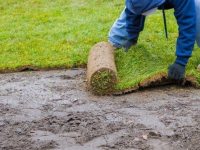 LANDSCAPING​
